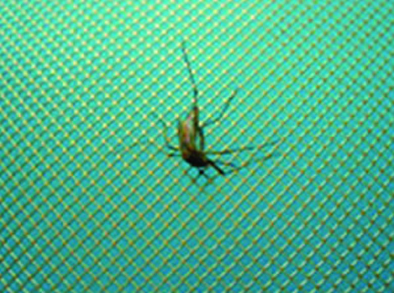 Galvaço - Tela expandida para mosquiteiro.
